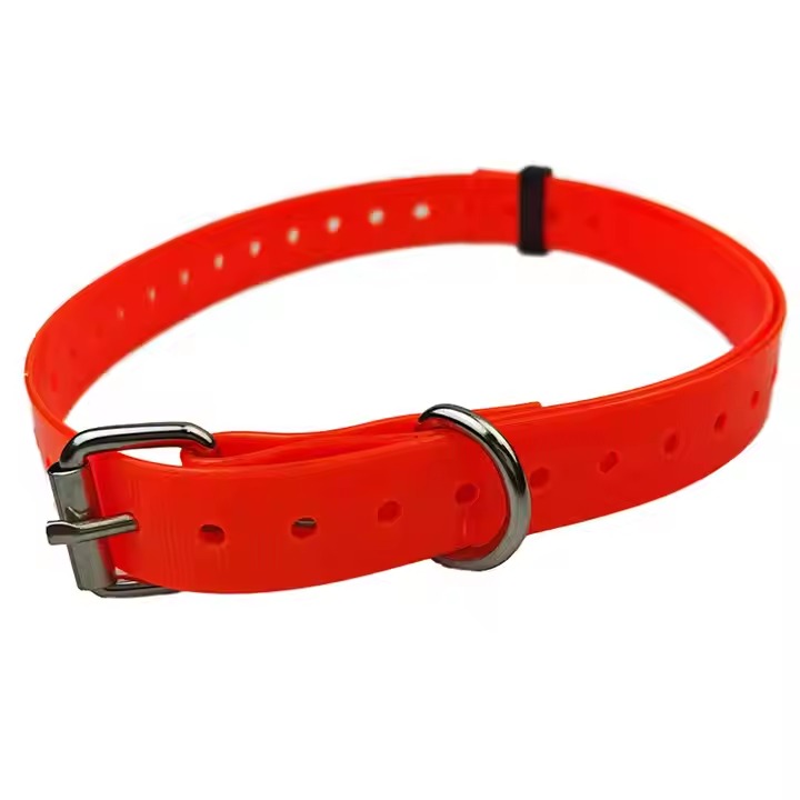 Pet Collars