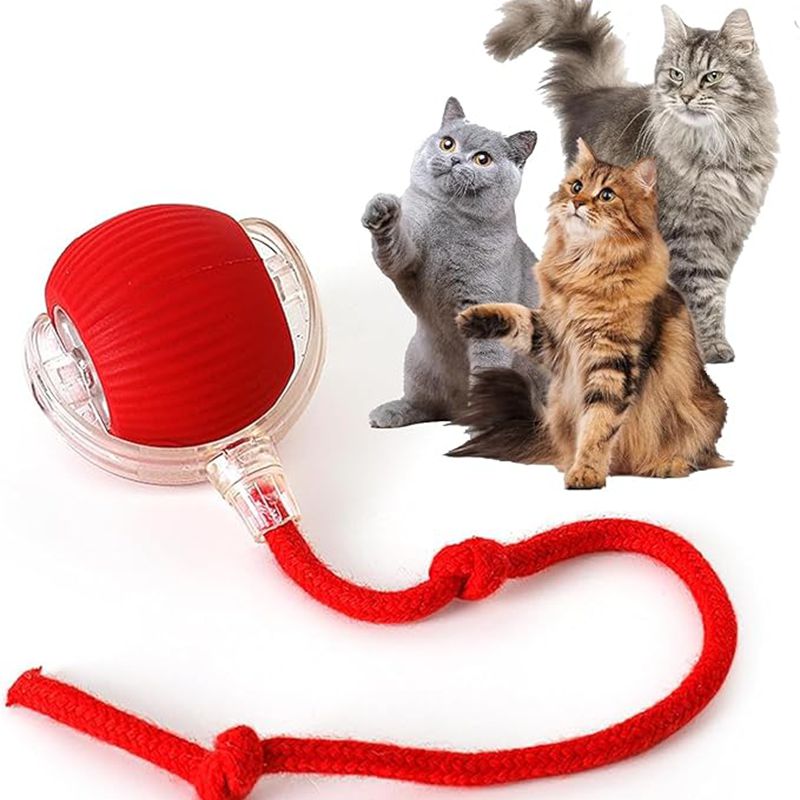 Automatic Rolling Ball For Kitten