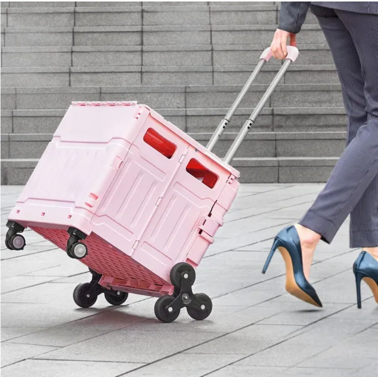 Collapsible Rolling Crate