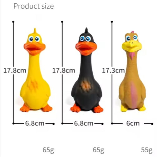 Dog Chew Toys