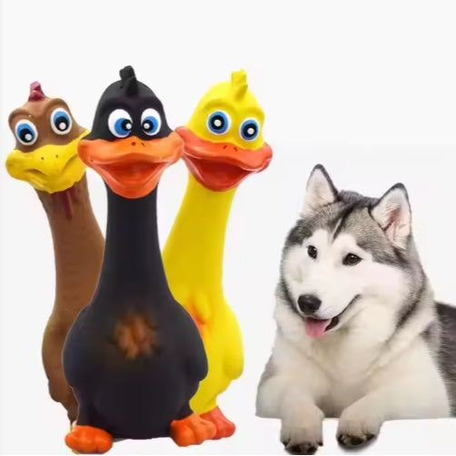 Dog Chew Toys