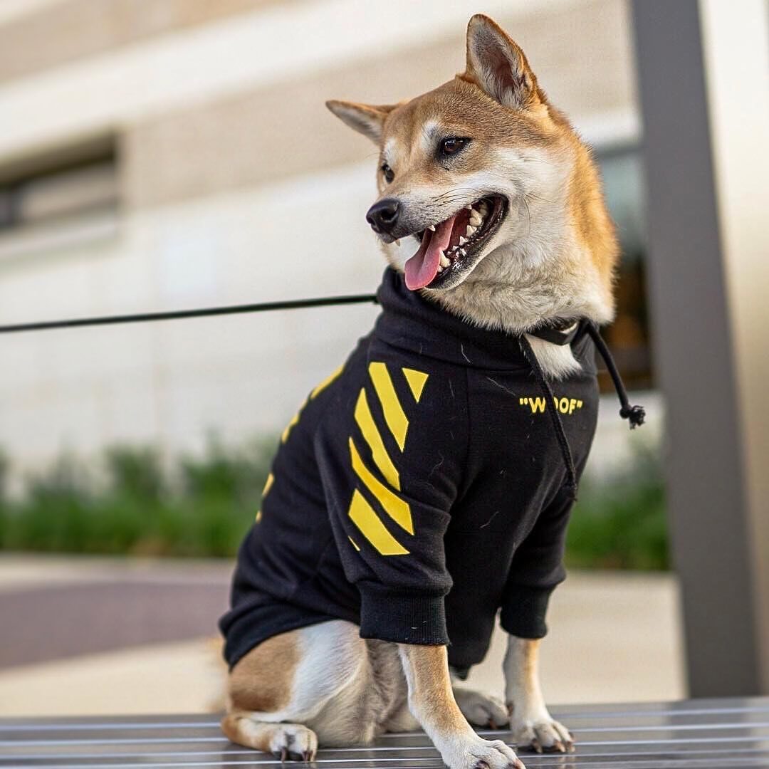 three-stripe dog sweater