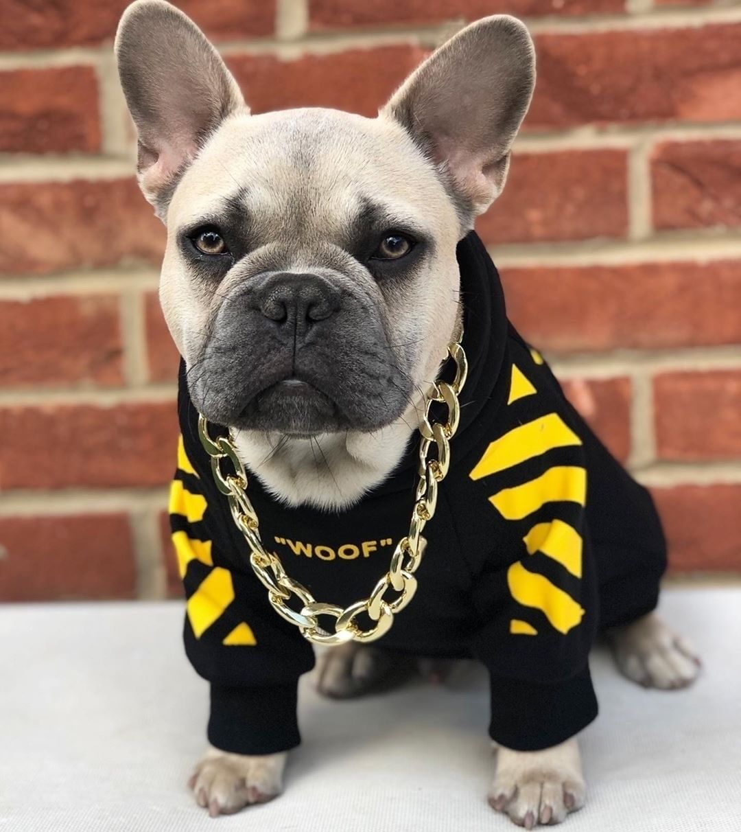 three-stripe dog sweater