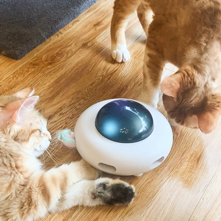 Smart pet Teaser