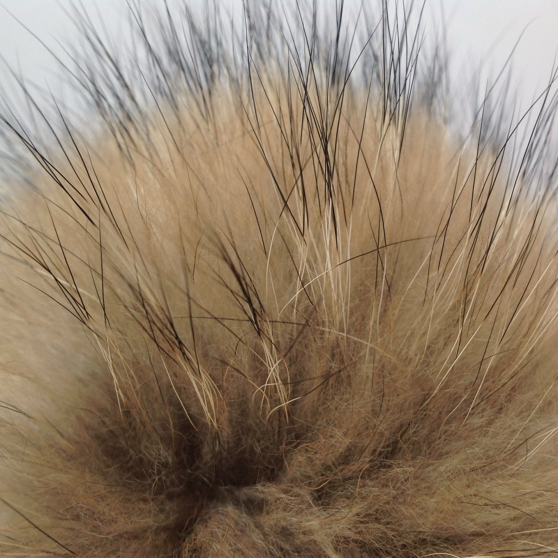Raccoon Dog Fur Ball Hat Ornament Clothes Accessories