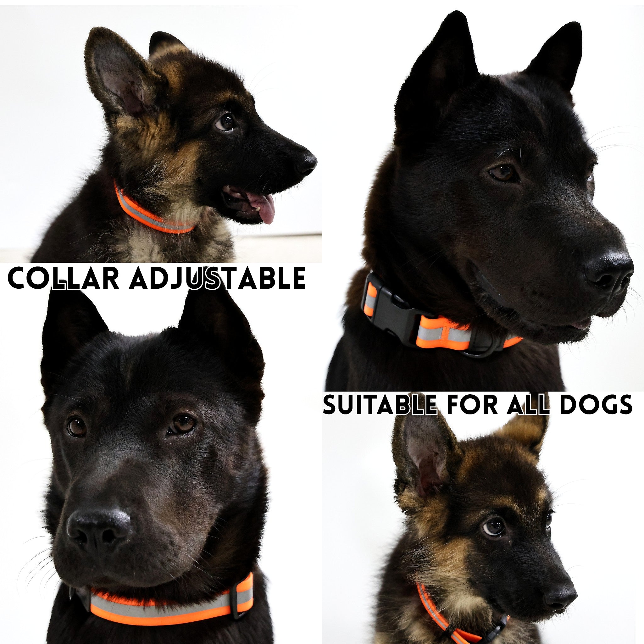 Reflective Leash Set