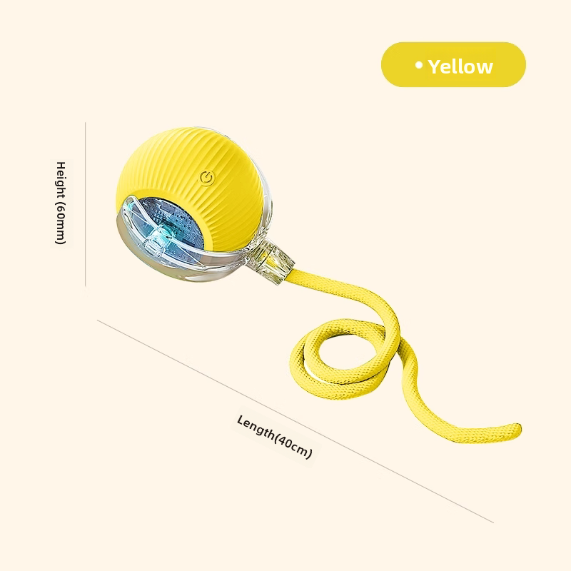 electronic pet toy