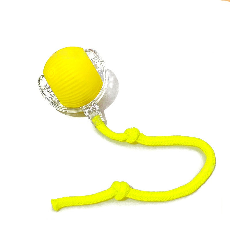 Automatic Rolling Ball For Kitten