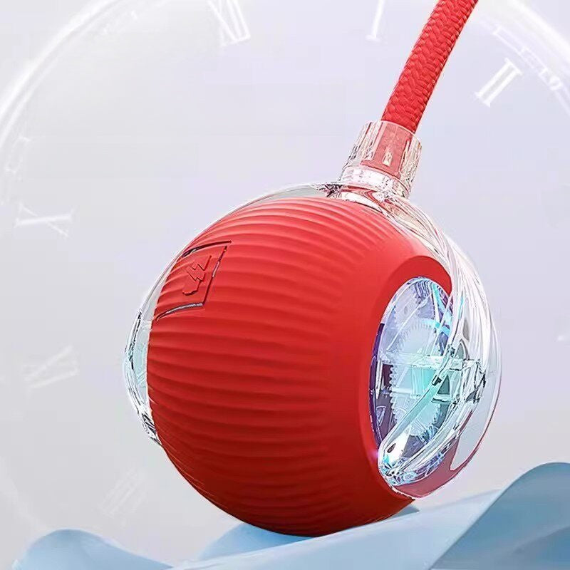 electronic pet toy