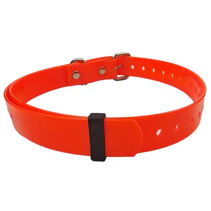 Pet Collars