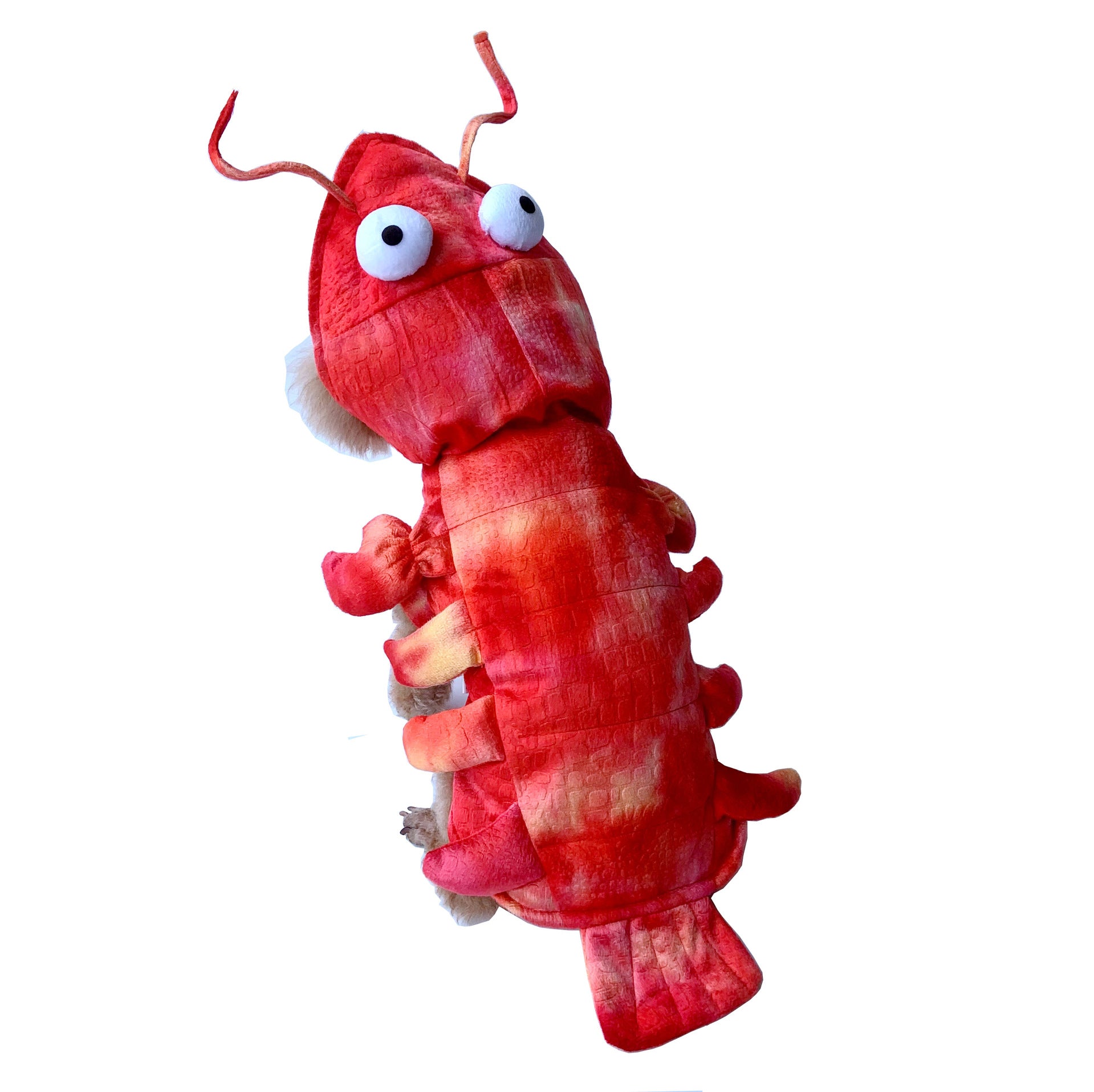 Lobster Pet Clothes Halloween