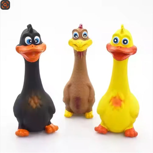 Dog Chew Toys