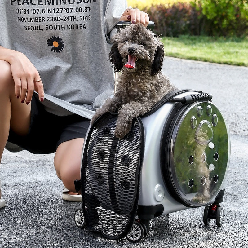 Small Pet Trolley