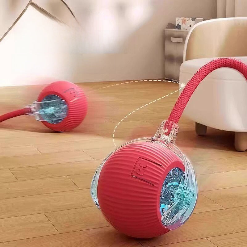 electronic pet toy