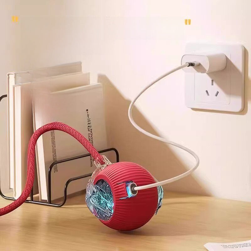electronic pet toy