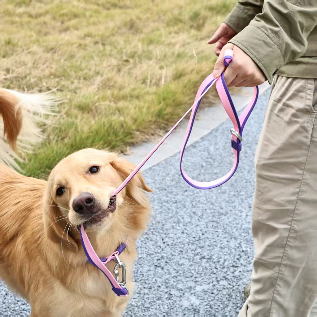 Dual-Color Embossed Pet Leash