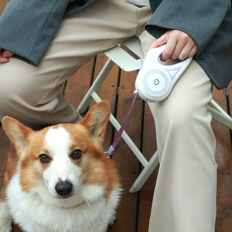 Pet Automatic Retractable Leash