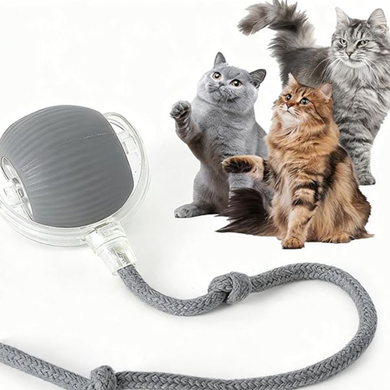 Automatic Rolling Ball For Kitten