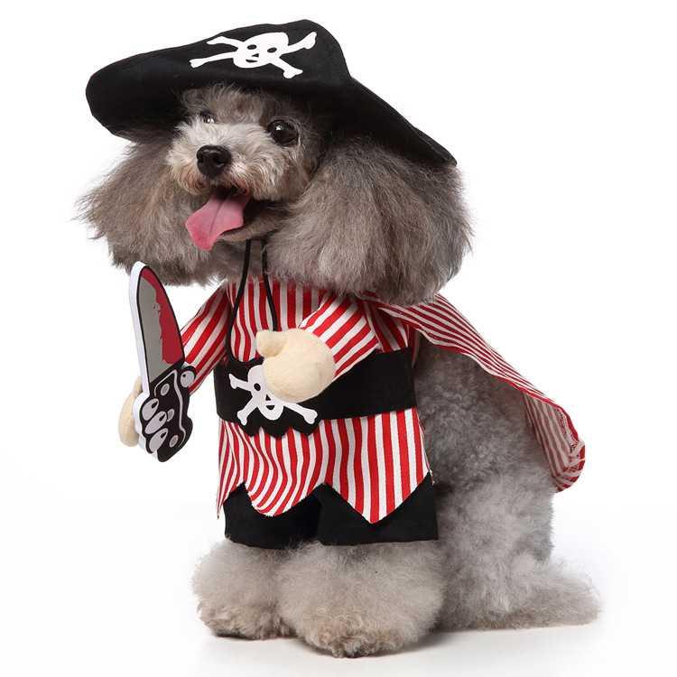 Stand Up For Funny Dog Clothes