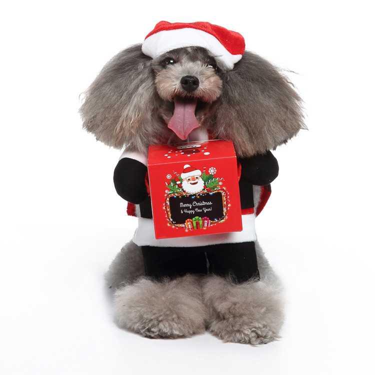 Stand Up For Funny Dog Clothes