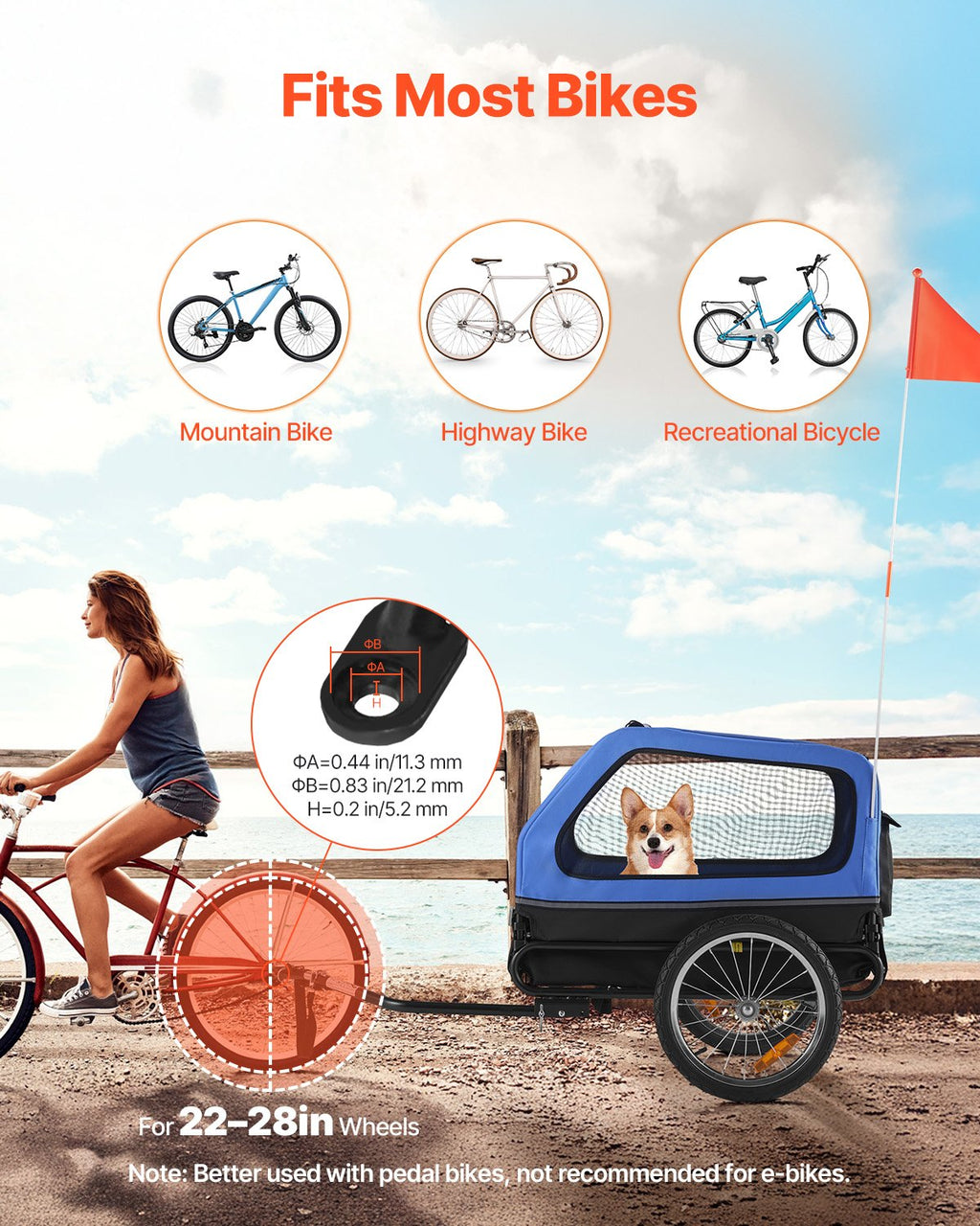 Dog Bike Trailer