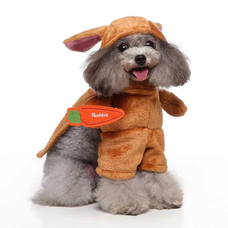 Stand Up For Funny Dog Clothes