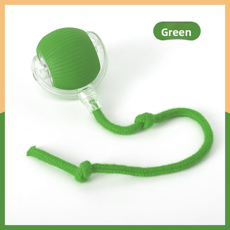 electronic pet toy