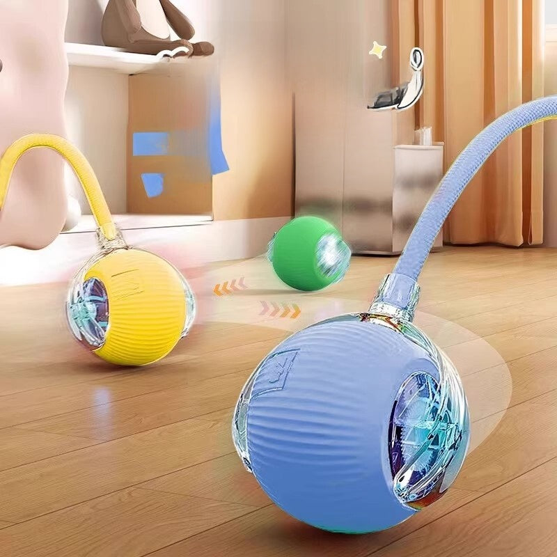 electronic pet toy