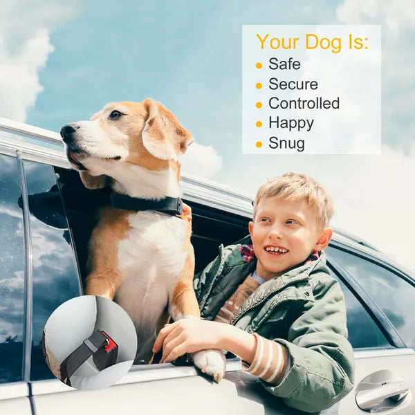2Pcs Pet Dog Seat Belt Leash