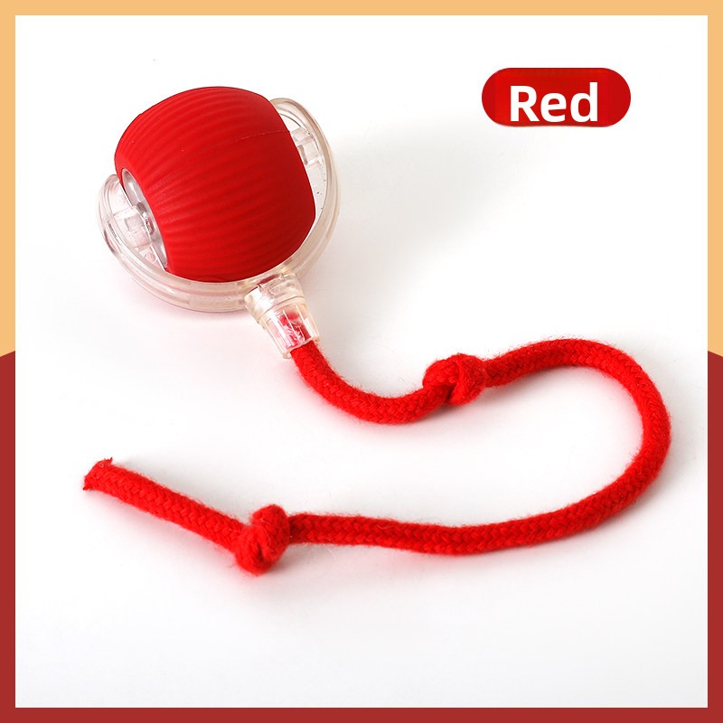 electronic pet toy