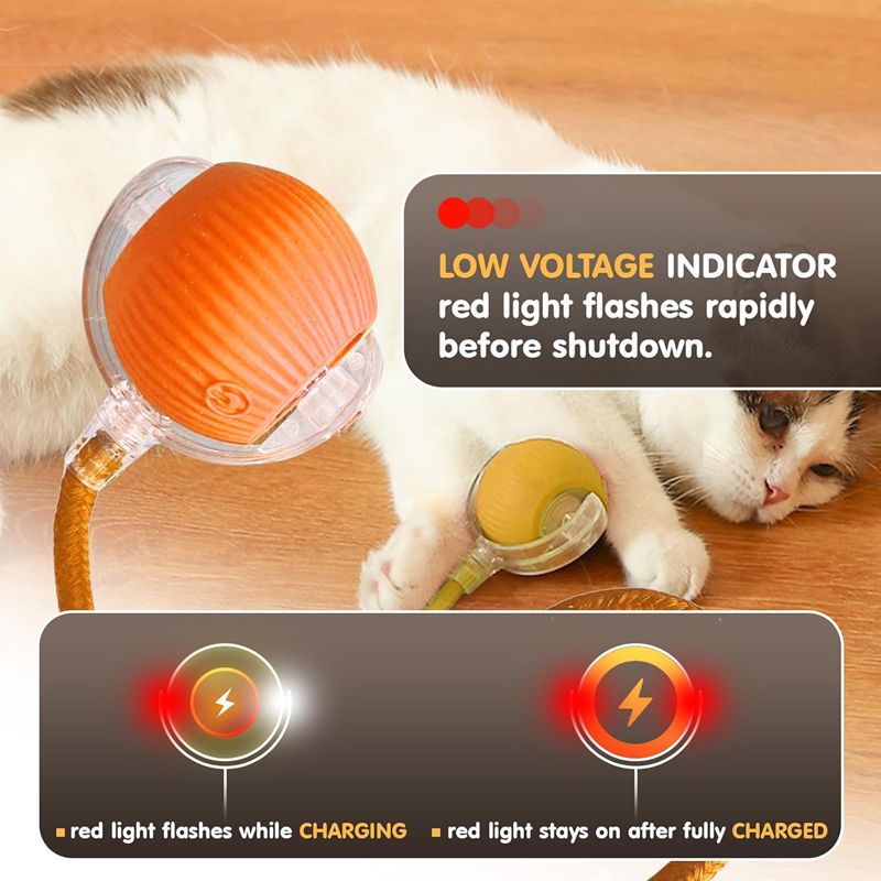 Automatic Rolling Ball For Kitten