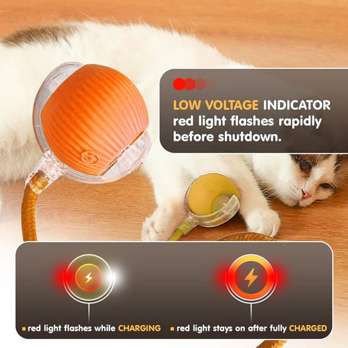 Automatic Rolling Ball For Kitten