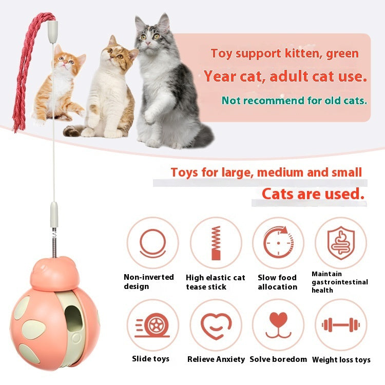Stuffy And Funny Cat Food