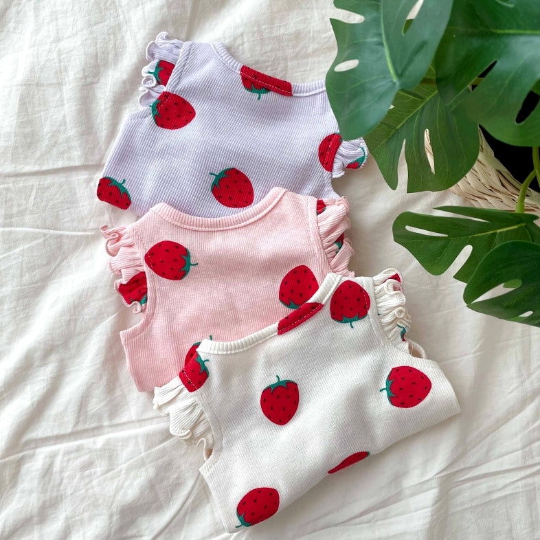 Small Dog Teddy  Clothes