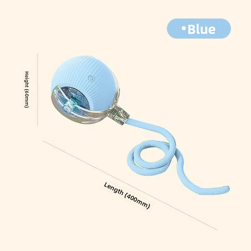 electronic pet toy