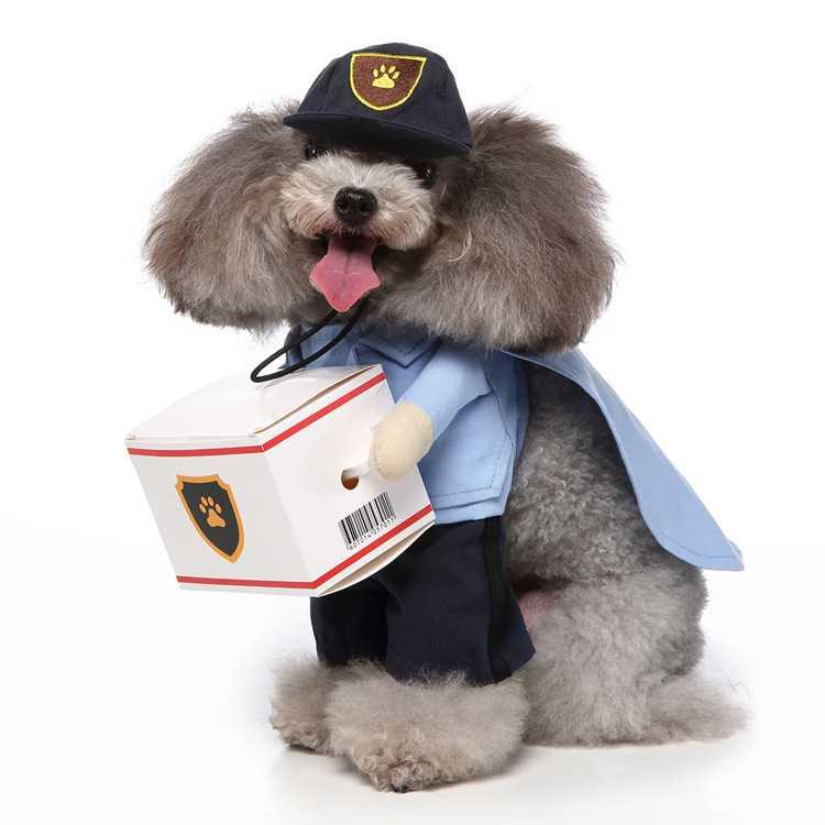Stand Up For Funny Dog Clothes