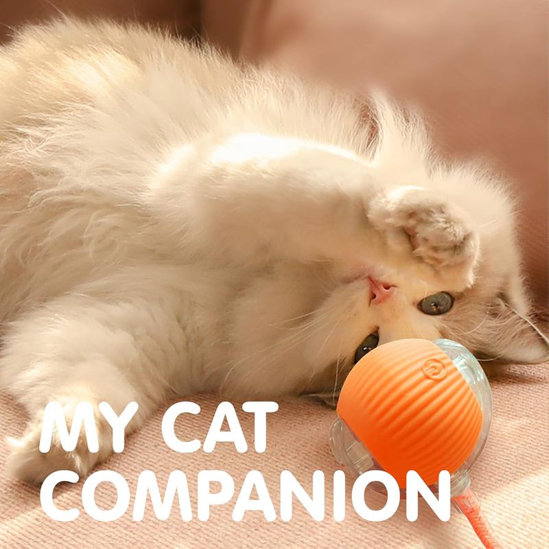 Automatic Rolling Ball For Kitten