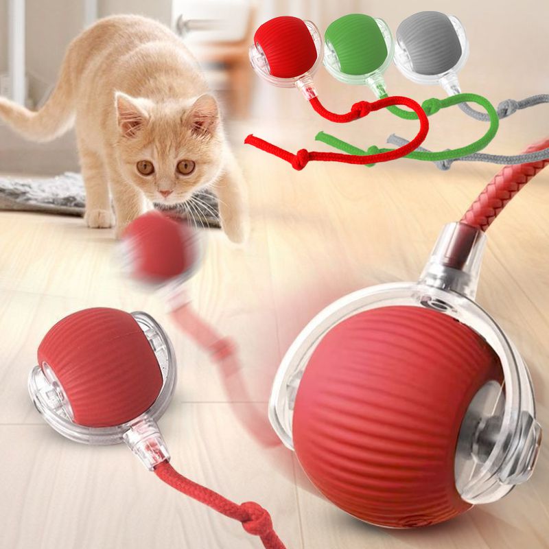 Automatic Rolling Ball For Kitten