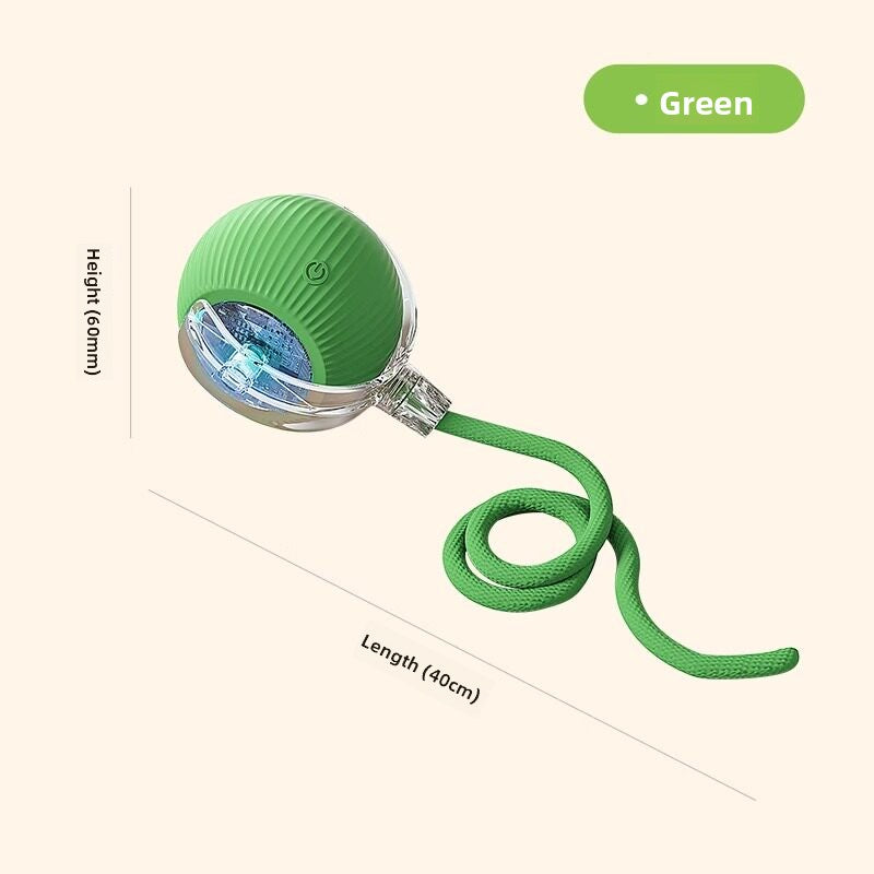 electronic pet toy