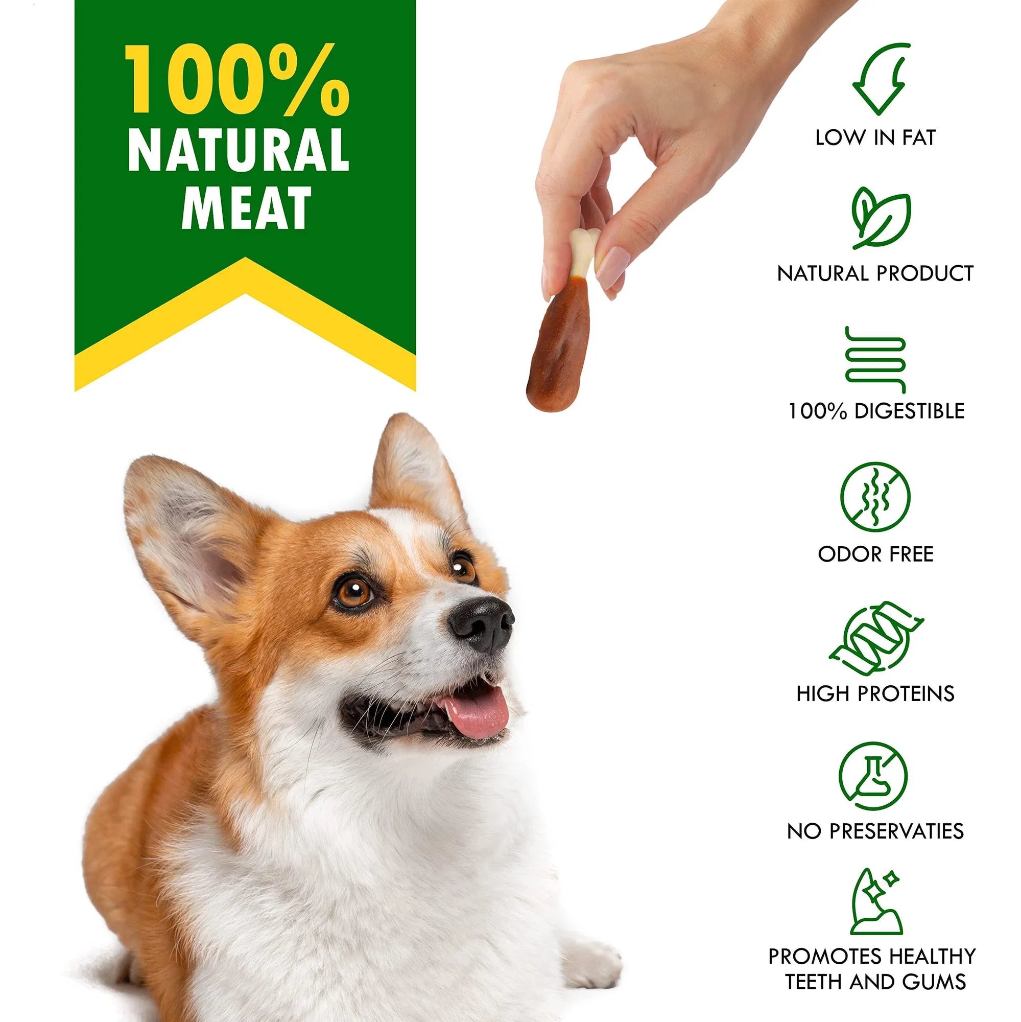 Dog Calcium Bones