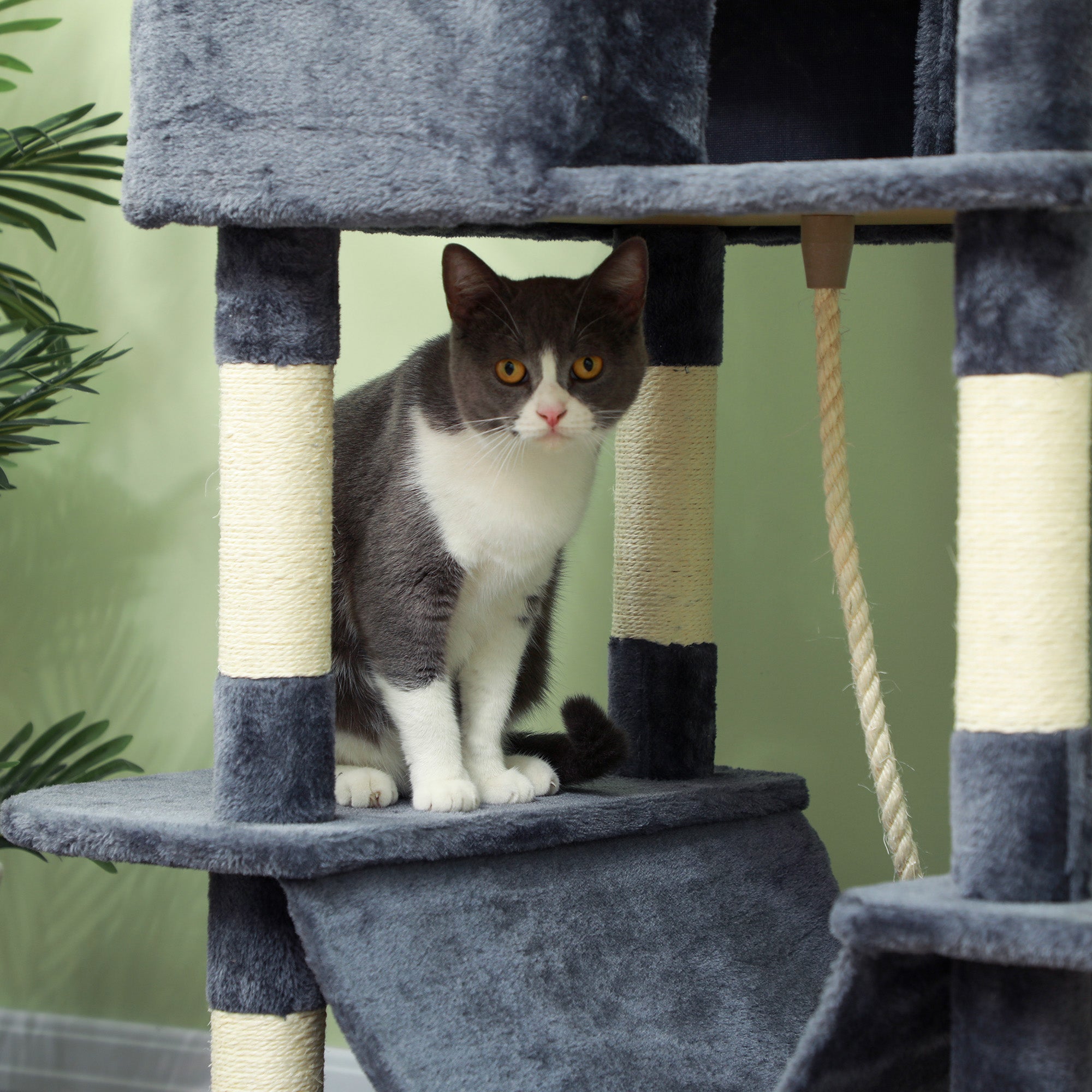 81" Cat Tree