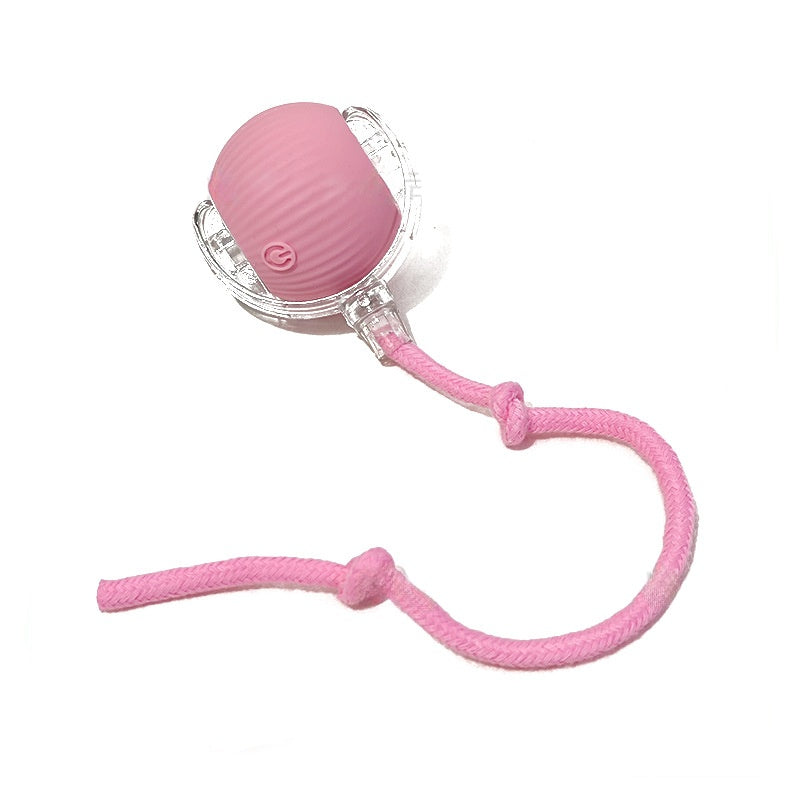 Automatic Rolling Ball For Kitten