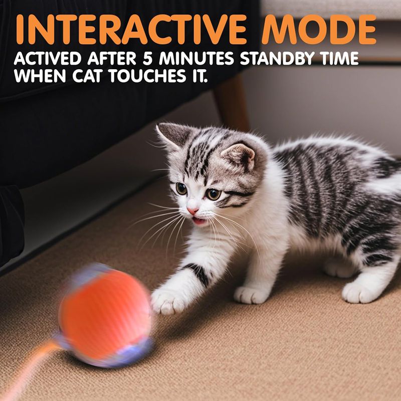 Automatic Rolling Ball For Kitten