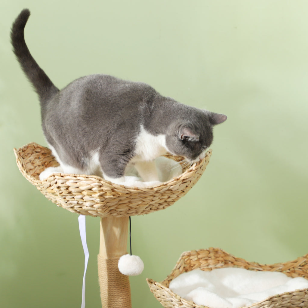 37 Inch Modern Cat Tree