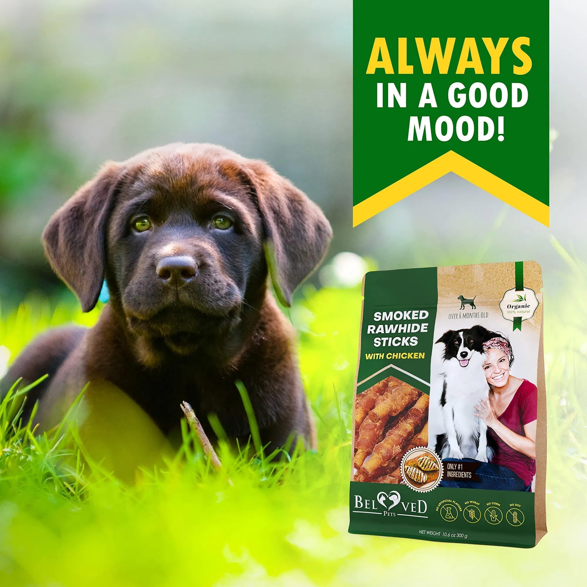 Dog Smoked Rawhide Sticks