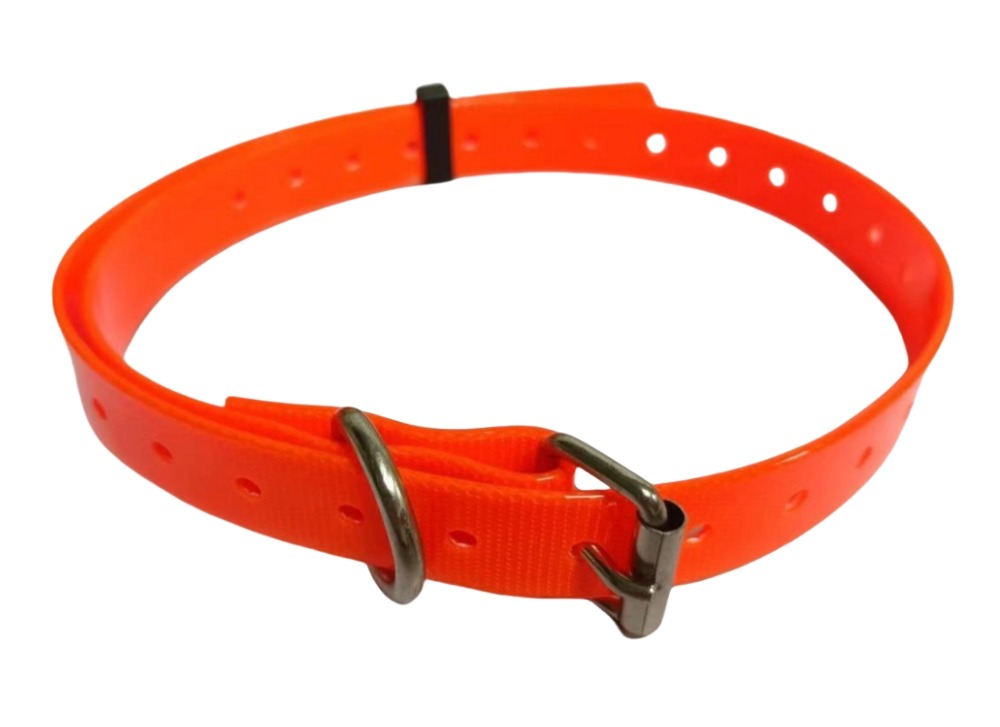 Pet Collars