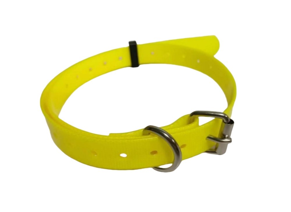 Pet Collars