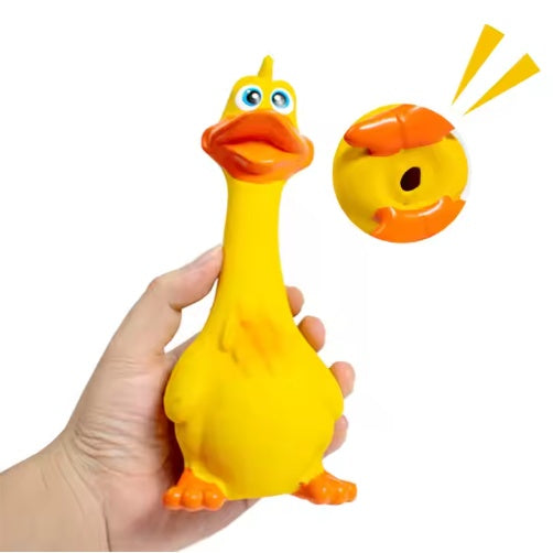 Dog Chew Toys