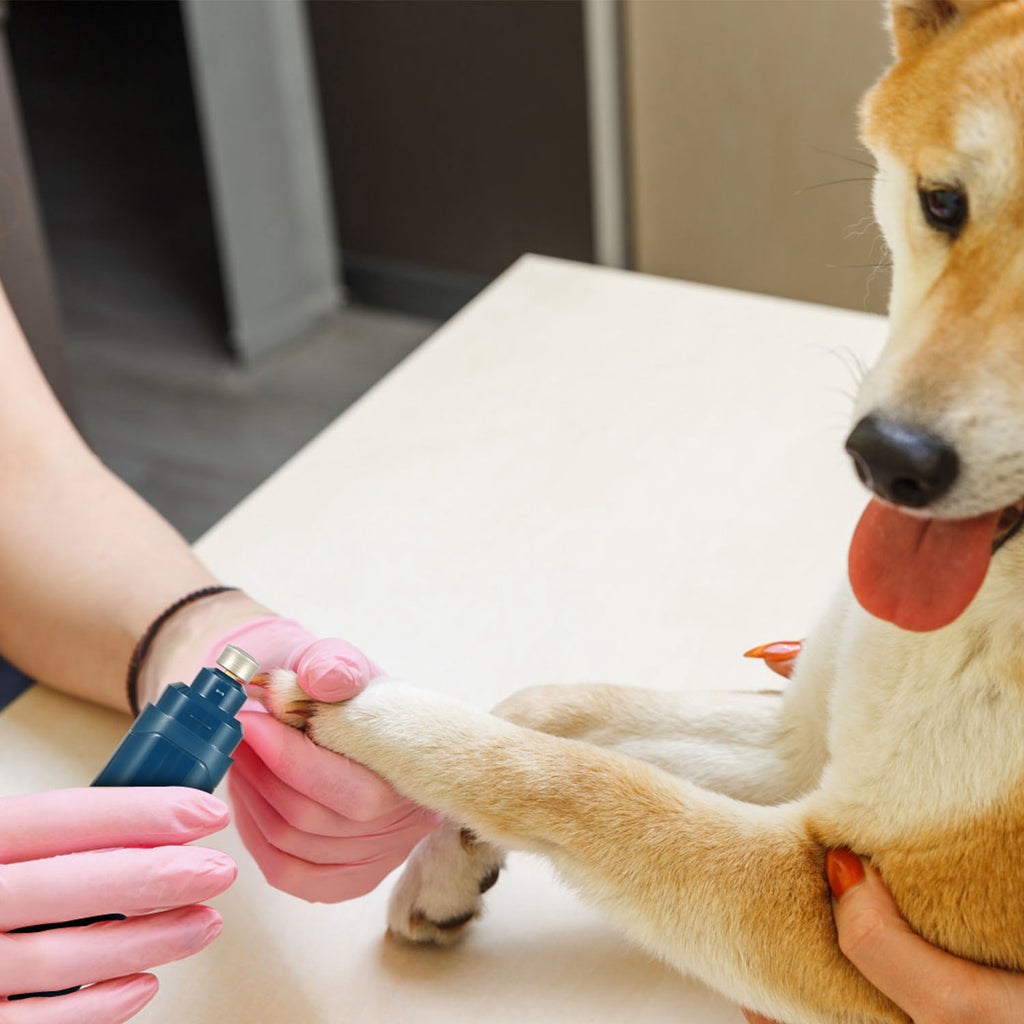 1Pc Dog Nail Grinder
