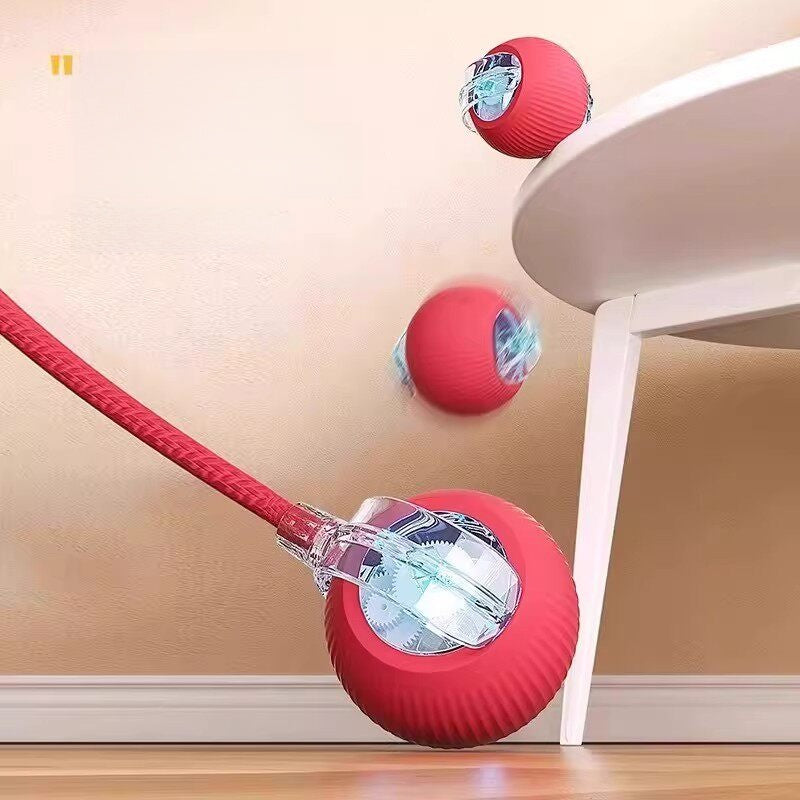electronic pet toy